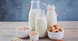 Dairy products and milk and its derivatives